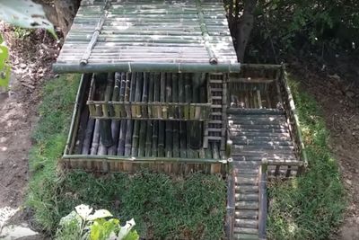 Puppy Mansion Build Out Of Bamboo | tine tv