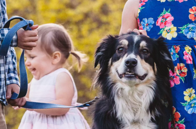 Dog Is Most Behaved Kid During Family Photoshoot