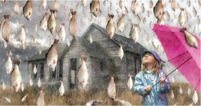 Why Certain Animals Might Rain From The Sky