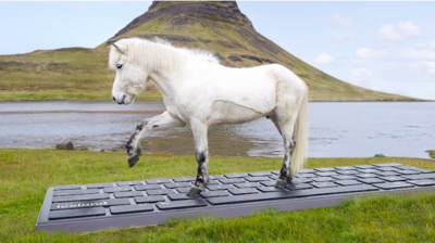 Iceland Outhorse Your Email Offers Stress Free Vacation With Horses Responding To Your Work Correspondences