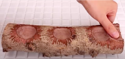 Calming Asmr Stop Motion Video Of The Construction Of A Coffee Tray Without Tools