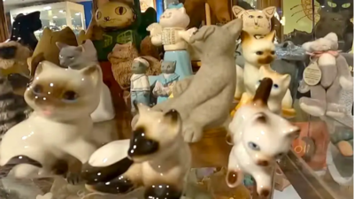 Man Turns Home Into 13 Thousand Cat Figurine Museum
