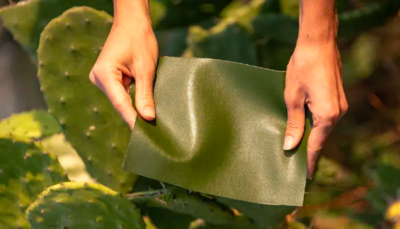 Two Men Tries To Save The Animals By Creating Leather From Cactus
