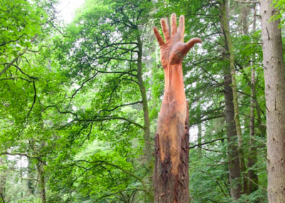 Artist Gives New Life To Damaged Tree By Turning It Into A Beautiful Sculpture