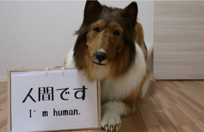Man Living Like A Dog Is Sad Regarding The Huge Misconception Around His Life