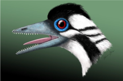 Bird Like Dinosaur On Display At Chicago Field Museum