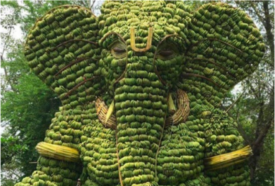 Over 20-foot-tall Ganesh Sculpture Build Entirely Out Of Bananas