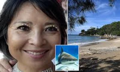A Man Who Dove Into The Ocean To Protect A Woman From A Shark Attack Recounts The Horrifying Experience